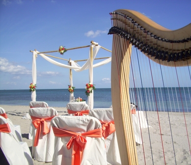 Turks and destination Wedding Harpist