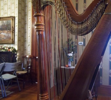 Harpist for Weddings in Indianapolis