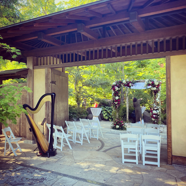Rockford Harp at a Wedding