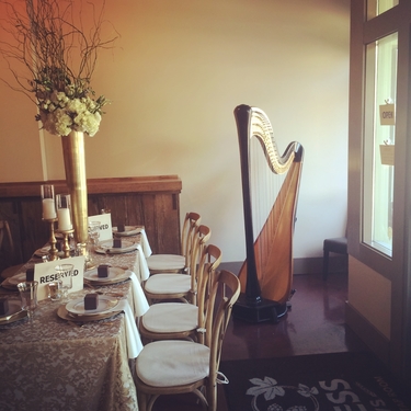 Middle Tennessee Wedding Harpist