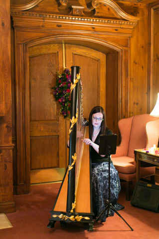 Central Missouri Wedding Harpist