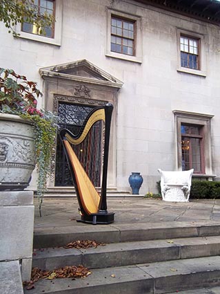 Northeast Kentucky Wedding Harpist